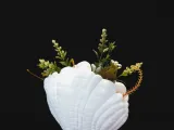Shell Vase-1