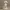 Minimalist Beagle Dog Figure AI