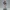 Midnight Amethyst – Ecchi Figurine