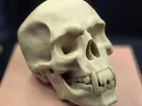 Vampire Skull-1