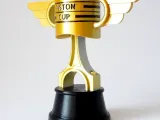 Piston Cup-4