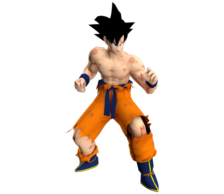 Goku Battle Damage