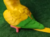 Golden Conure-7