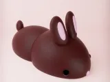 Chubby Bunny-3