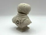 Steampunk Fly Bust-1