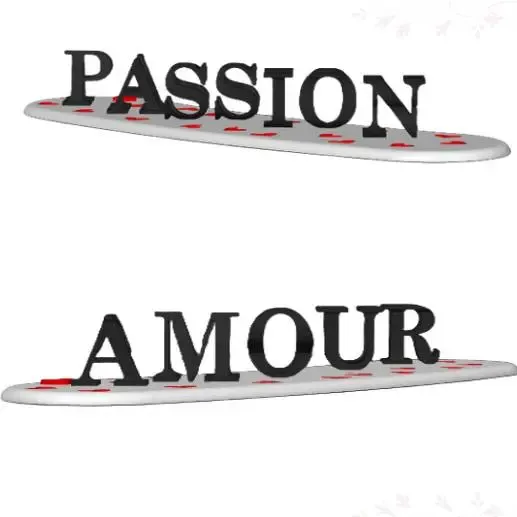 ambigramme AMOUR/PASSION