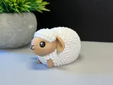 Cute Sheep-5