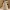 Festive Gnome Figure: Adorable Holiday Home Protector STL