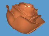 rosa-0