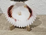 Shell Stand-4