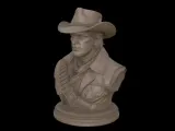 cowboy western-1