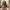Jesus Inspired Bust STL – Biblical Teacher Statue – High Det