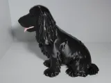 Cachorro Cocker Spaniel-2