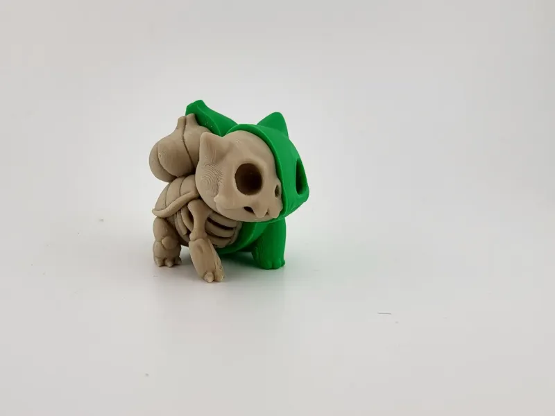 Pokemon ESQPokémon ESQ