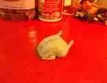 Turkey Card Holder-2