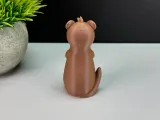 Simpatica lontra-5