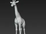 giraffe-1
