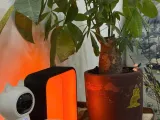 Amber Haven Lamp – A Warm Sanctuary in Light-6