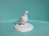 Dove-1