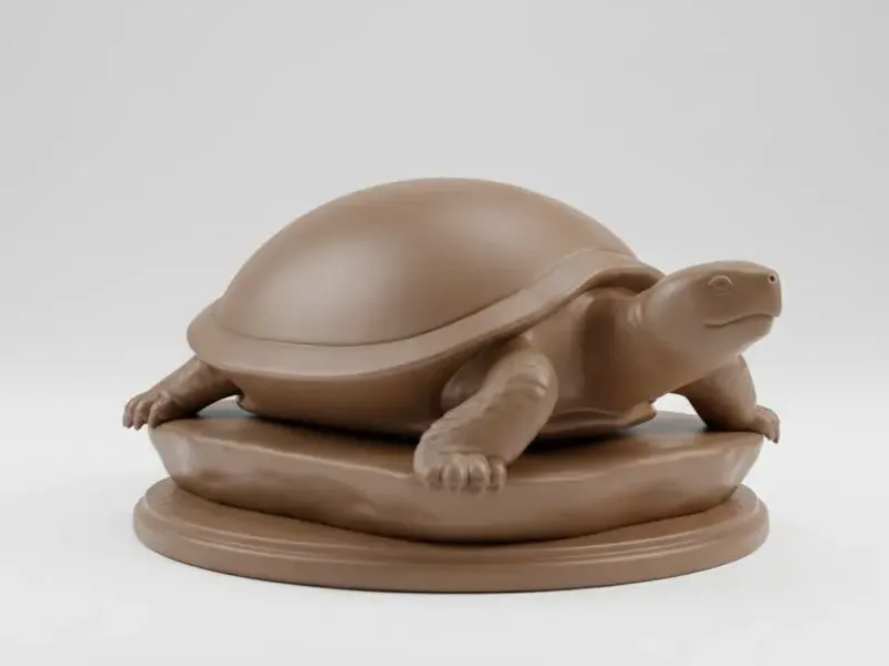 Tortoise / Schildkröte