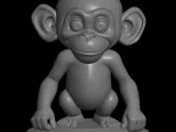 monkey model-0