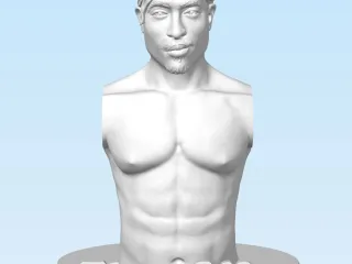 2 pac bust