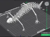 FishMonster-5