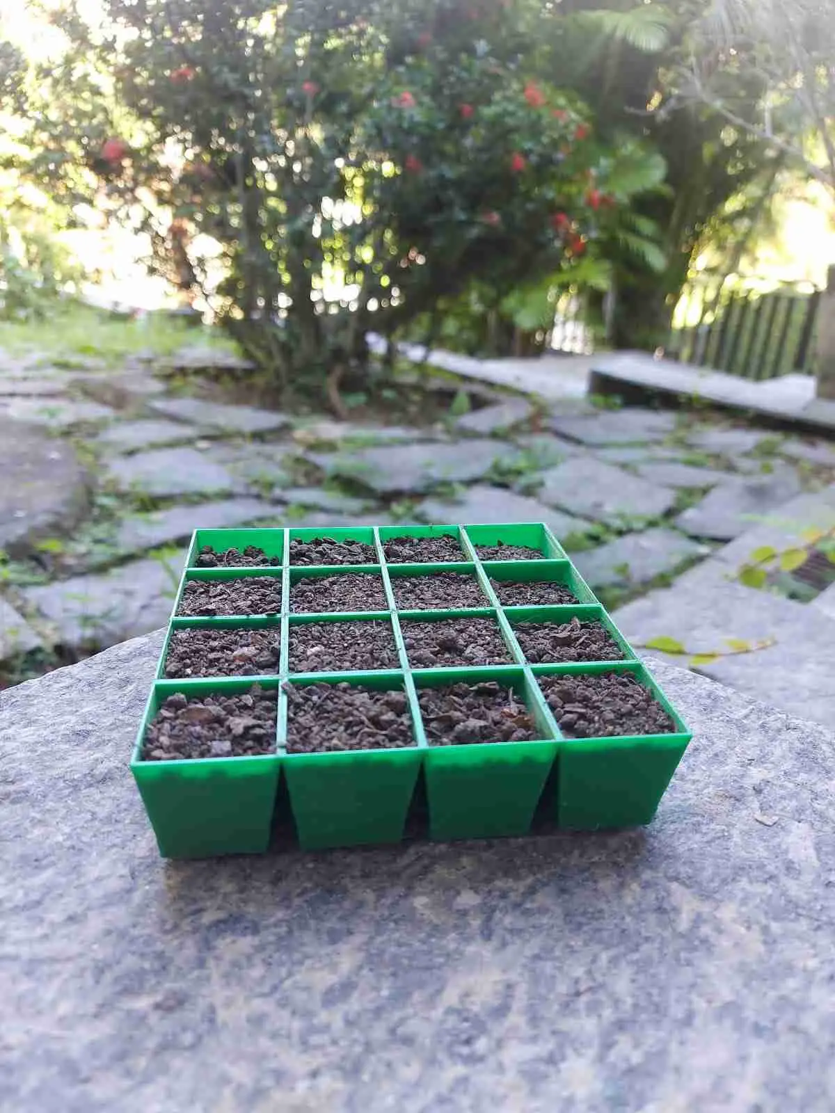 Seed Planter -  Sementeira