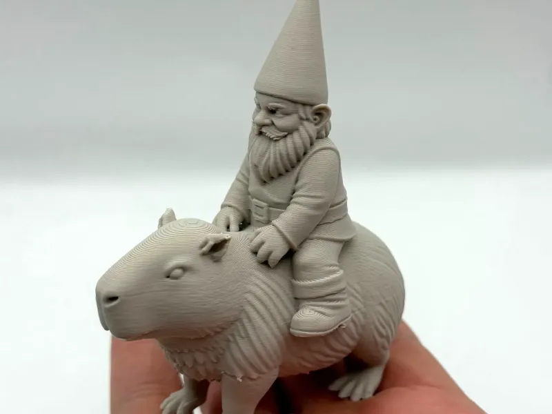 Gnome Riding Capybara