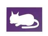 Stencil-0