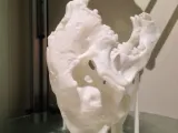 MiniSaberToothSkull improvement Support-7