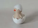 Hatched Chicken-4