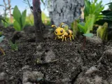MYRANIX – Free Bug Monster STL | Cards, Base & HP Dial-5