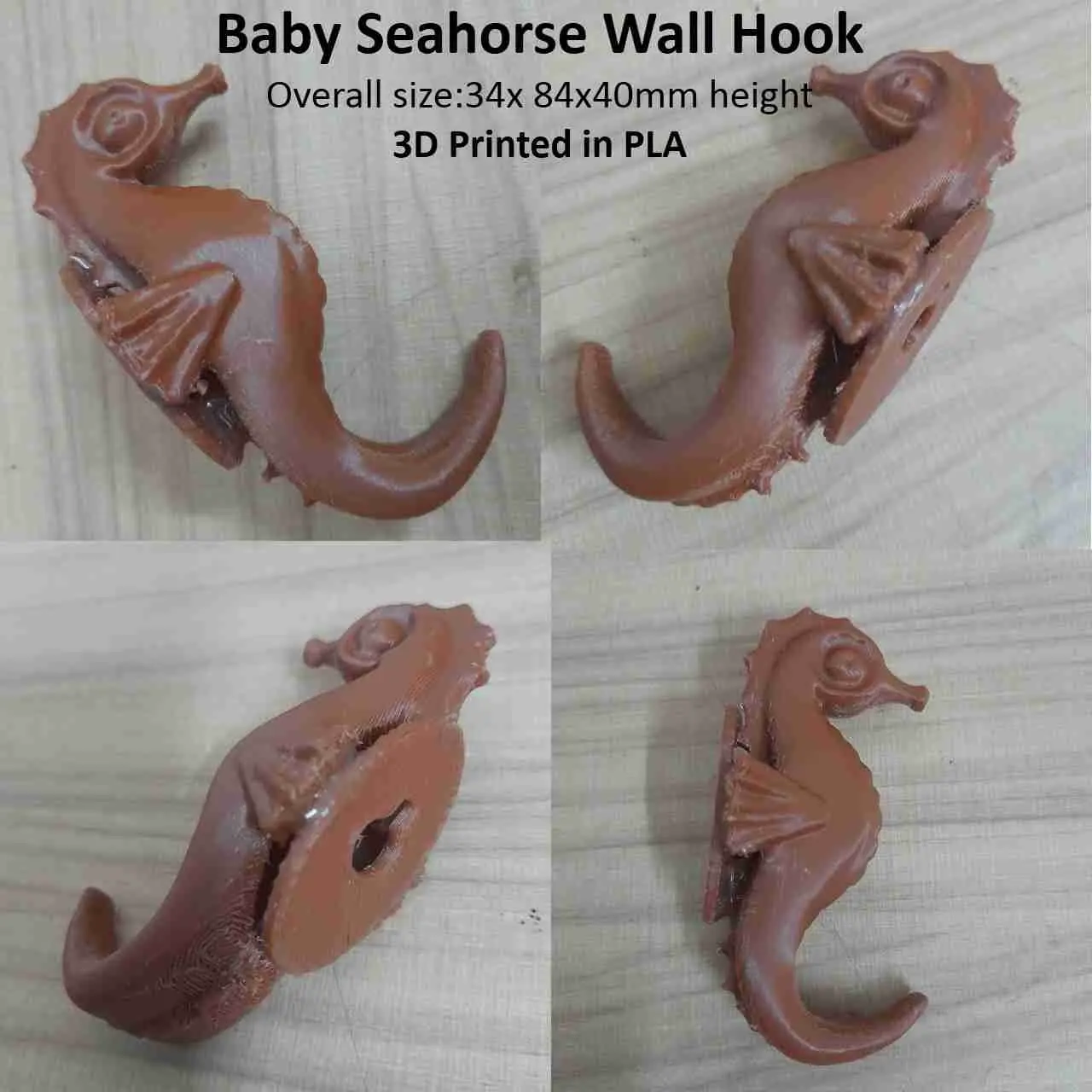 3DP, Baby Seahorse Wall Hook