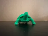 Painted Turtle-1