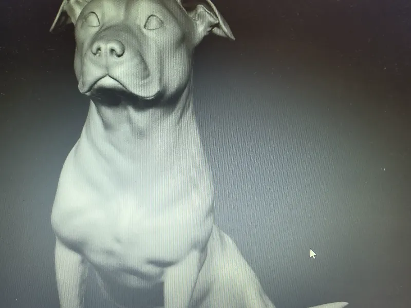 Amstaff