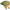 Cap of the Wild