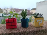 Petits pots de fleurs mario - Petits pots de fleur mario-3