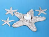 Starfish Tealight Holder-2