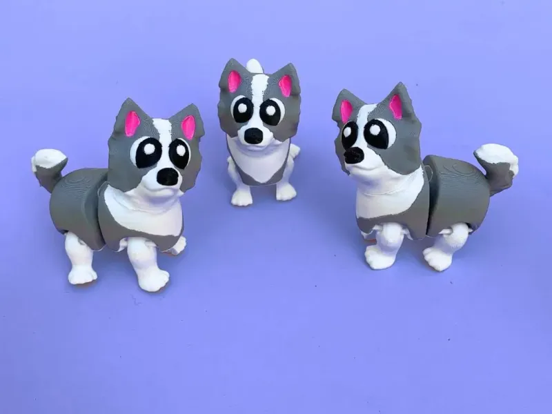 Flexi Border Collie, Articulated Dog