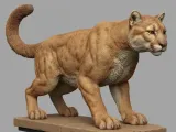 الكوغار-0