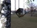 Bird House-4