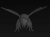 robot bee model-0