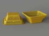 Basket-5