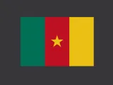 CM - Cameroon decoration Flag-1