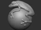 FDM & Resin Printer Test -frog-1