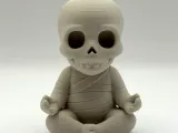 Zen Mummy Skeleton-0
