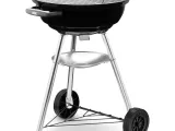 Weber Grill -2
