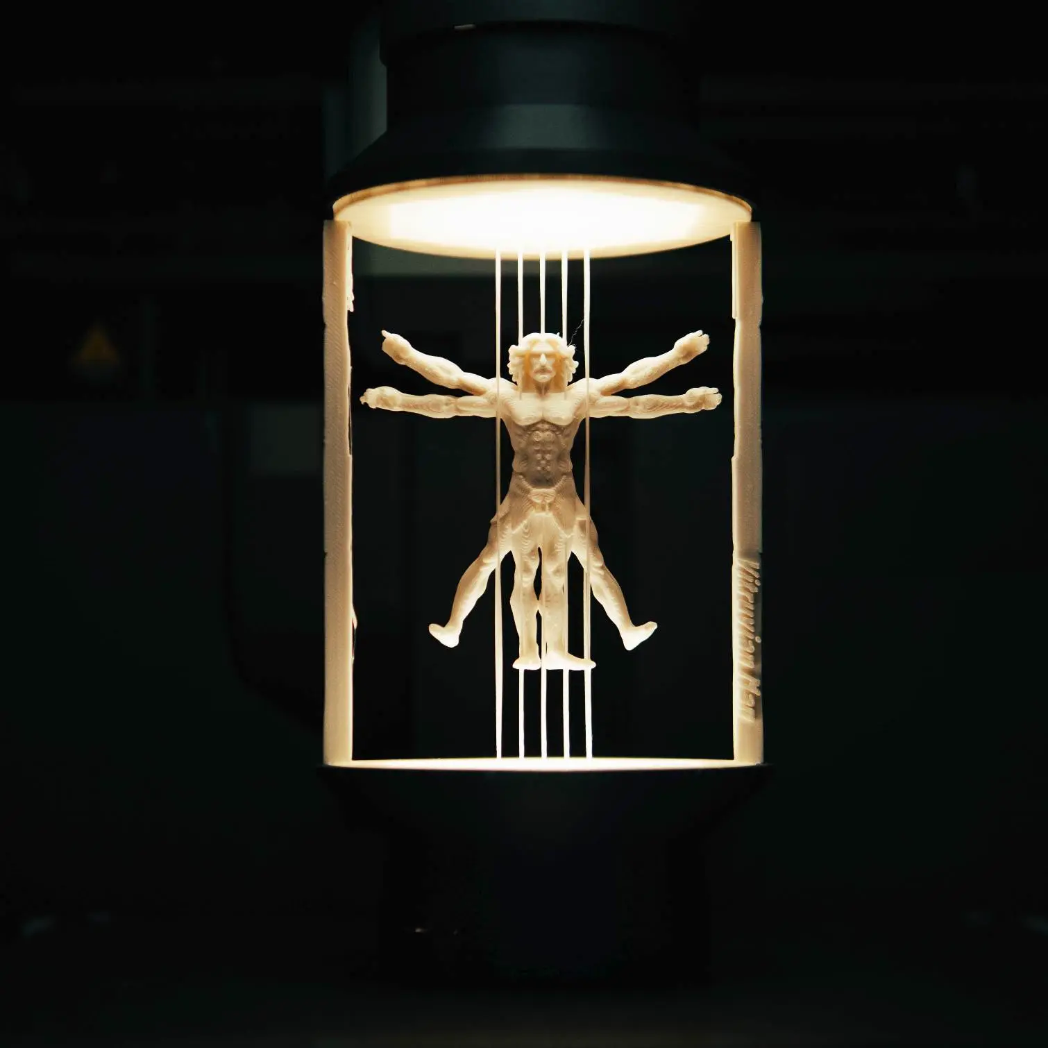 Archivos de impresora 3D | Archivo 3MF | The Suspended Vitruvian Man ...