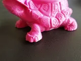 Turtle Pot - Planter / Maceta Tortuga Manuelita Remix-4